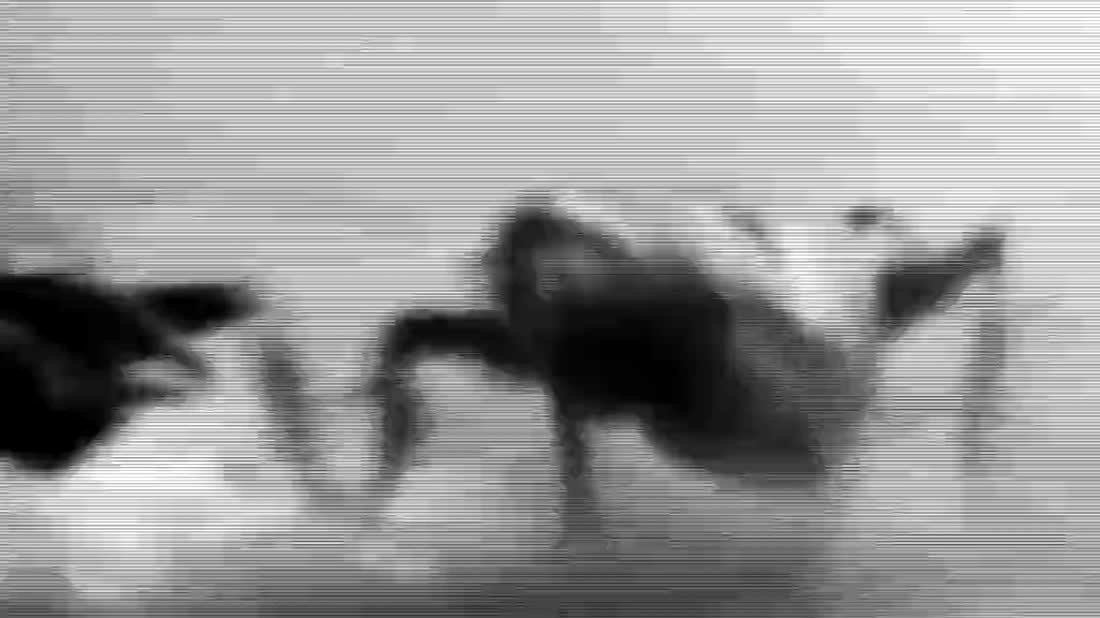 A hand coming across the frame